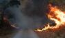 Waldbrand im Hürtgenwald