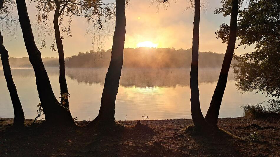 Morgennebel in Duisburg