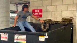 In Müllcontainer ausgesetzt: Sechs-Meter-Python in Los Angeles entdeckt