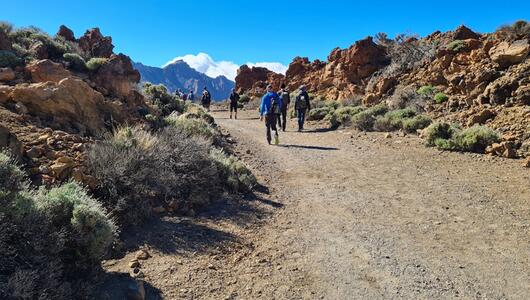 Vulkanlandschaft auf Teneriffa