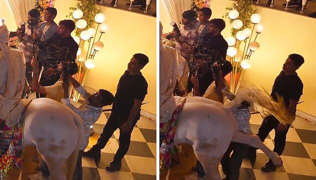 Teure Aufnahme: Pferd tritt Hochzeitsfilmer die Kamera aus der Hand