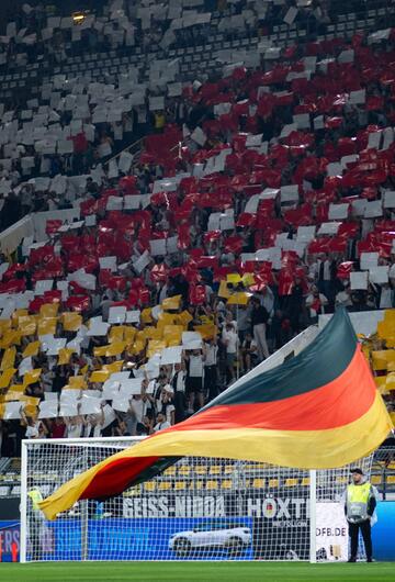 Fans der Nationalmannschaft im Stadion