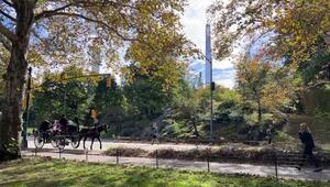 Nach 150 Jahren Tradition: Pferdekutschen in New York vor dem Aus
