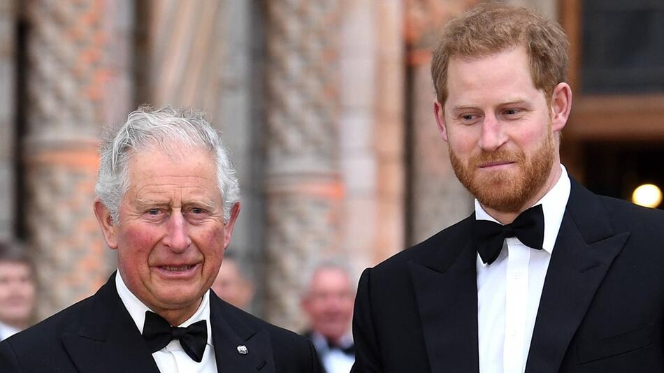 Viel Zeit sollen König Charles und Prinz Harry bislang nicht miteinander verbracht haben.