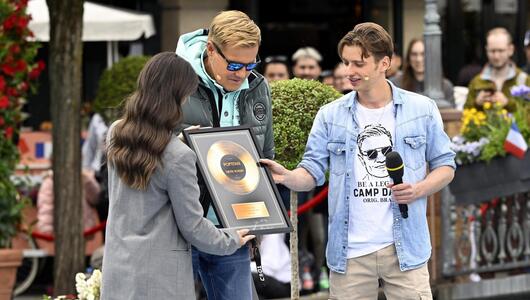 Kandidat, Dieter Bohlen