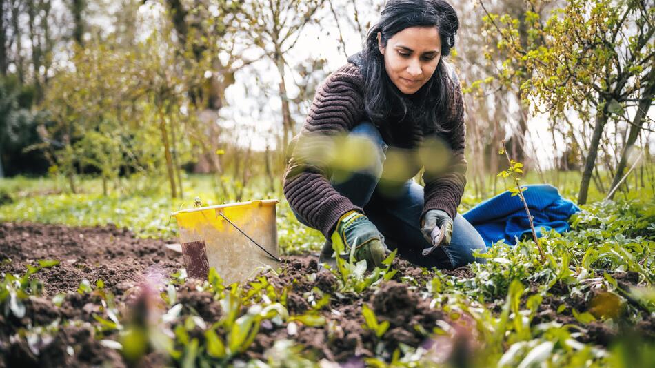 Gartenarbeit