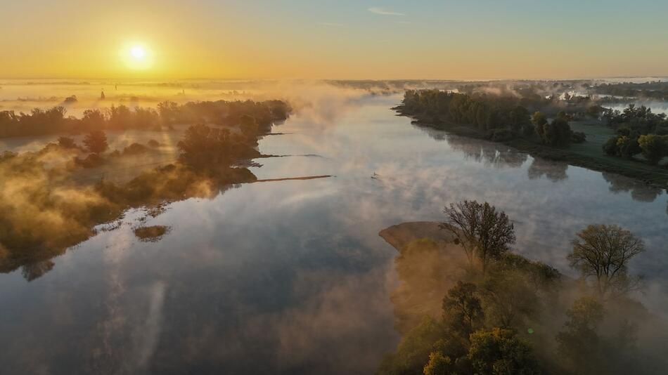 Elbe in Magdeburg