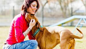 Ein Vizsla und seine Besitzerin