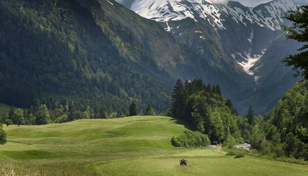 Oberallgäu