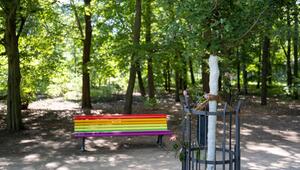 Ahornbaum und Regenbogenbank im Berliner Tiergarten