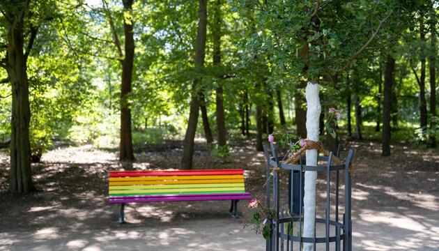 Ahornbaum und Regenbogenbank im Berliner Tiergarten
