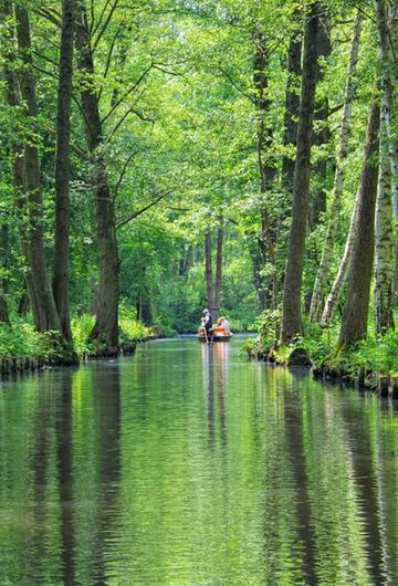 Biosphärenreservate, UNESCO, Deutschland, Landschaft, Naturschutz, Nachhaltigkeit