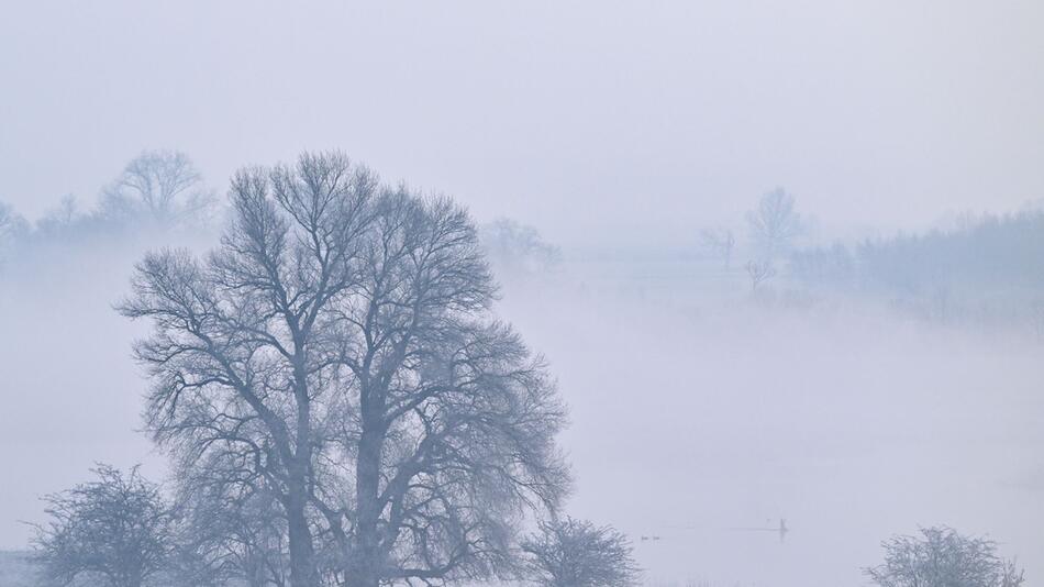 Kalter Wintermorgen