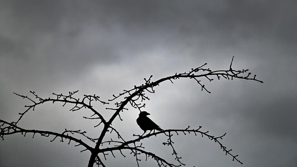 Grauer Himmel in Nordrhein-Westfalen