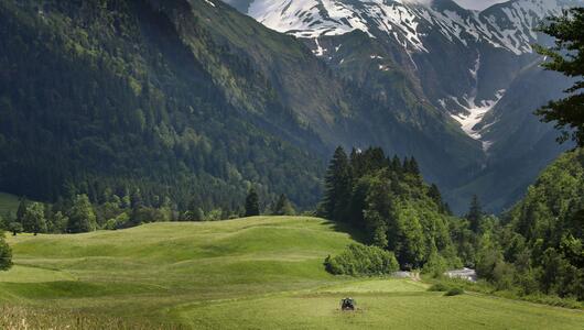 Oberallgäu