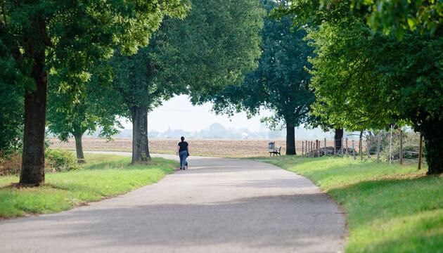 Wetter in Baden-Württemberg