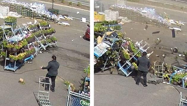 Chaos im Gartencenter: Windböe fegt Pflanzenregale um