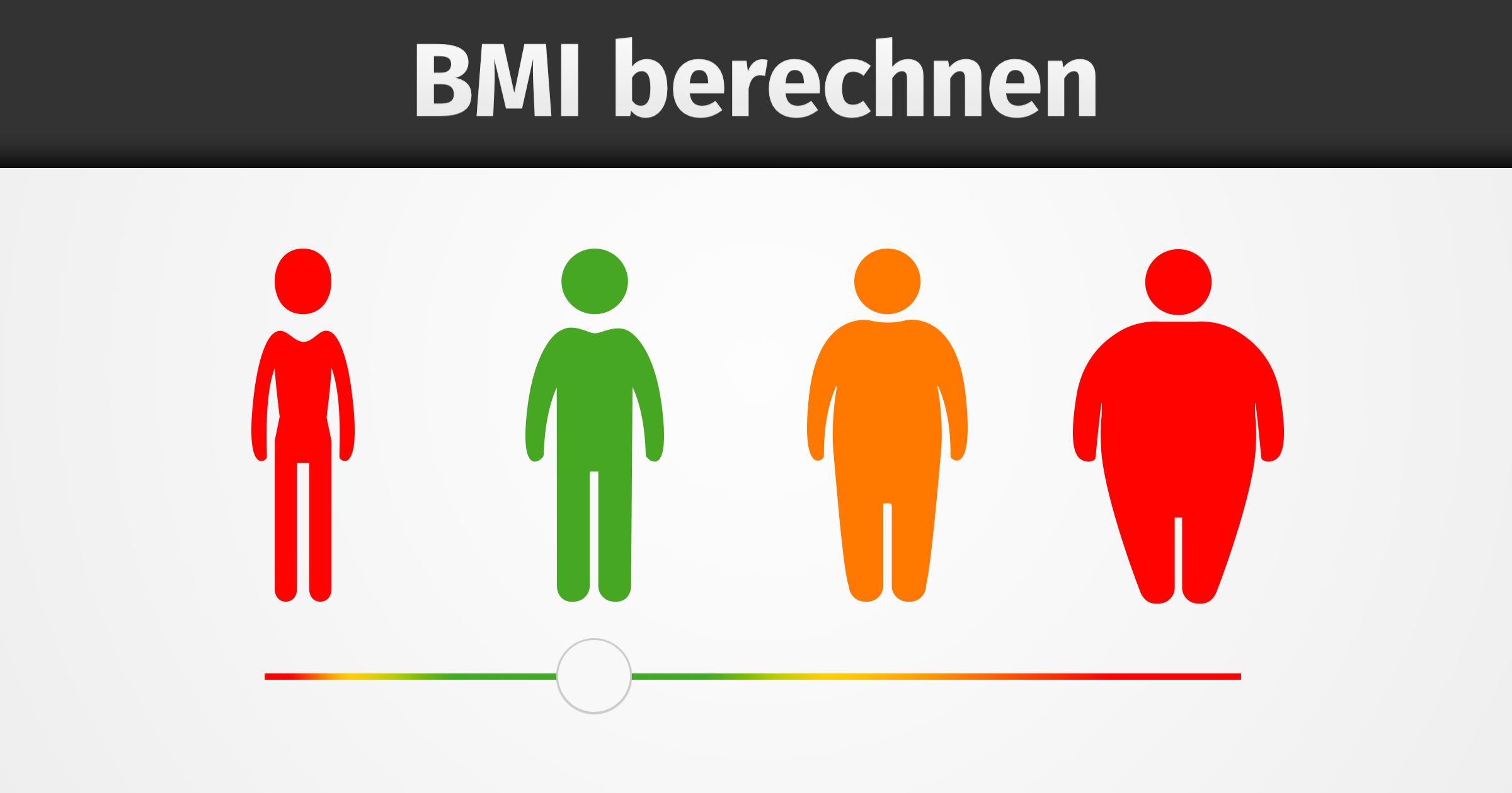 Bmi Rechner Berechnen Sie Ihren Body Mass Index Online Web De