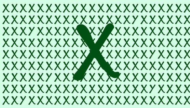 13 Sekunden: Optische Illusion ist der schnellste IQ-Test der Welt