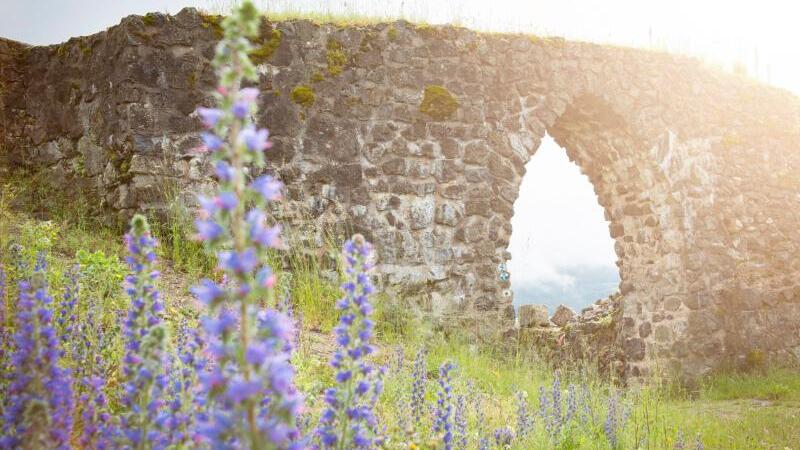 Park für essbare Wildpflanzen