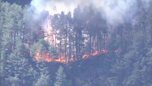 Waldbrände in Japan weiten sich aus 