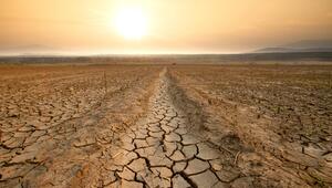 El Niño, Klimaphänomen, Hitzewelle, Dürre, Extremwetter, Klima