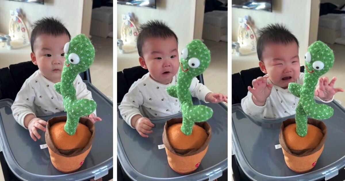 Baby findet Spielzeug-Kaktus gar nicht lustig