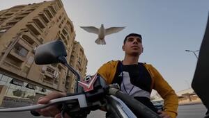 Taubentrainer in Kairo hat einen ganz besonderen Vogel