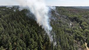 Waldbrand mit Munition in Rheinland-Pfalz brennt
