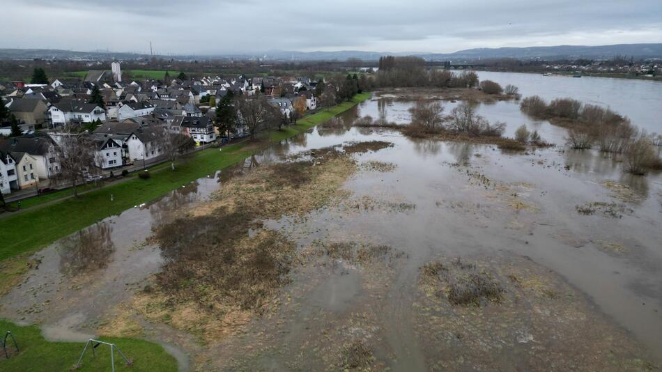 Hochwasser am Rhein