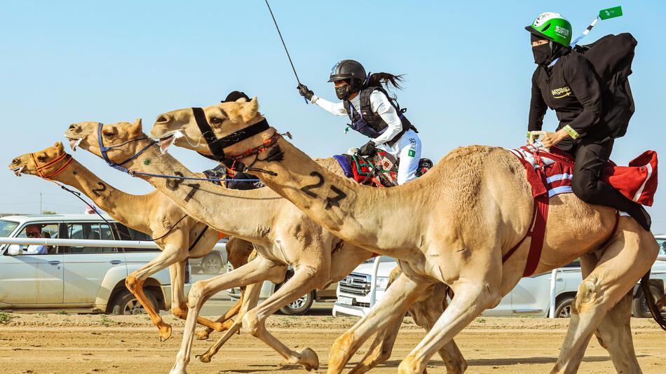 Beim 6. Kronprinzen-Kamel-Festivals in Saudi-Arabien treten mittlerweile auch Frauen an.