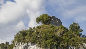Burgruine Falkenstein im Allgäu
