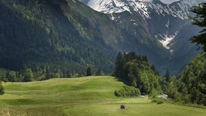 Oberallgäu
