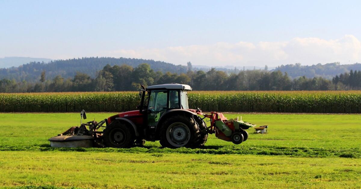 Statt gerader Linien: Wie kurviges Mähen der Artenvielfalt hilft