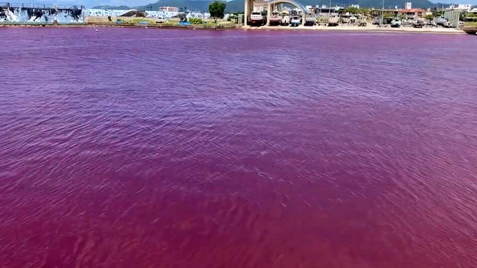 Rot verfärbtes Wasser vor einer Brauerei in der japanischen Präfektur Okinawa