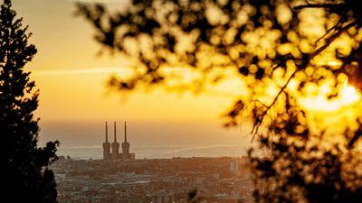 Collserola-Waldes