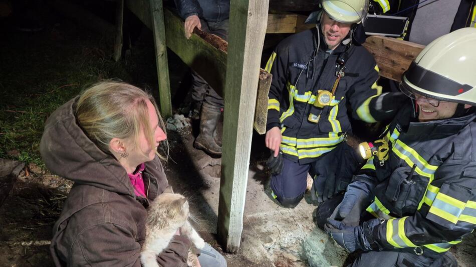 Feuerwehr rettet Katze