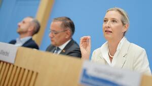 Nach der Landtagswahl in Sachsen-Anhalt - AfD