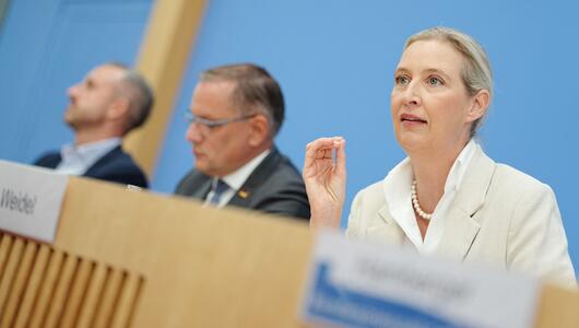 Nach der Landtagswahl in Sachsen-Anhalt - AfD