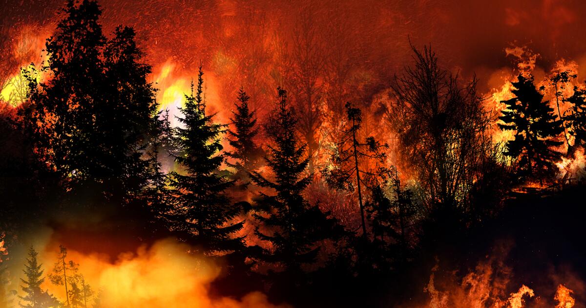 Badanie: Globalne ocieplenie znacznie zwiększa ryzyko pożarów
