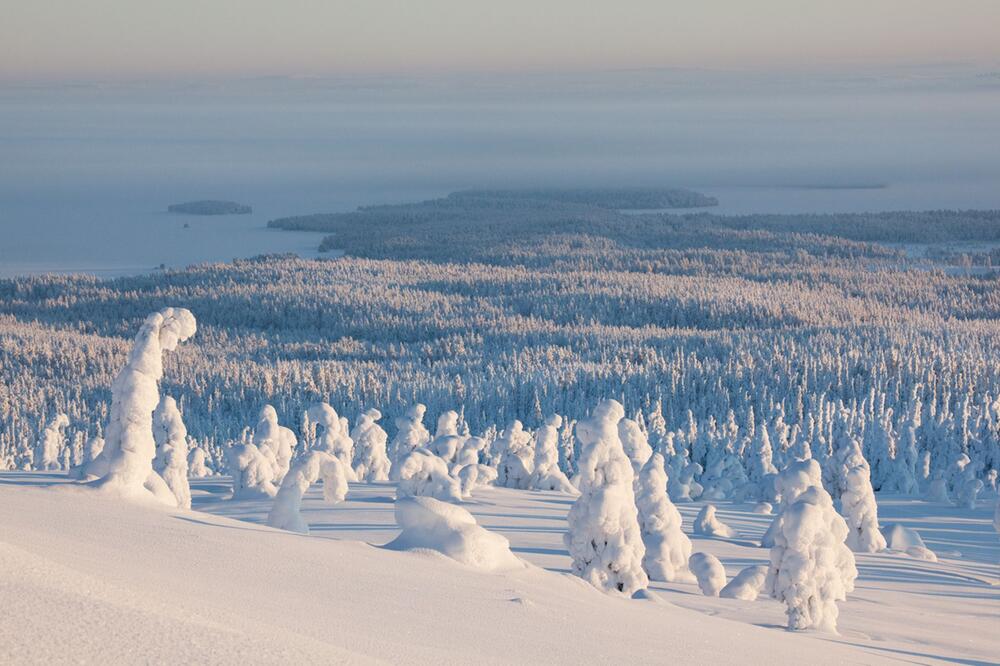 Riisitunturi-Nationalpark