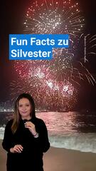 Silvester Fun Facts