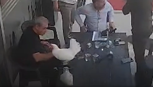 Ungebetener Gast: Huhn fällt vom Dach direkt auf Restauranttisch
